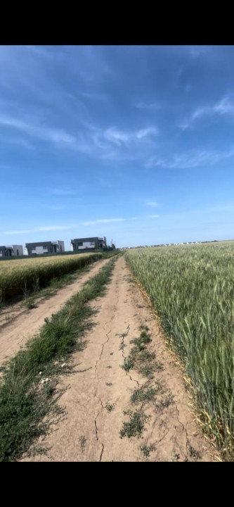 DOMNESTI-EWE RESIDENCE, 10.000 mp, D=22 metri, langa Drumul Radial